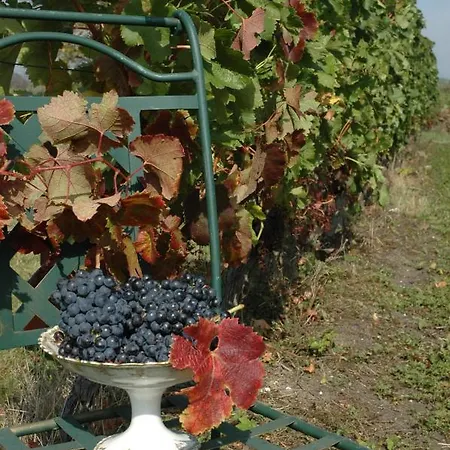 Domaine De La Queyssie