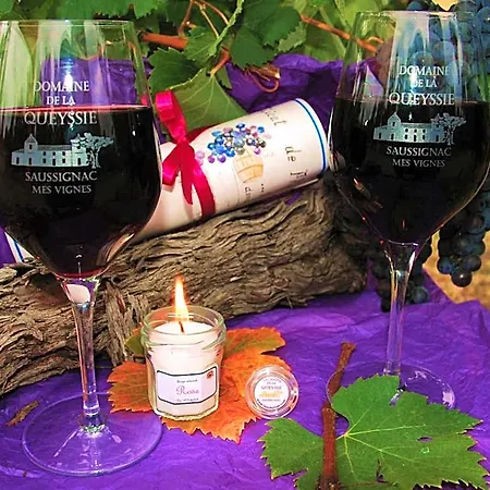 Domaine De La Queyssie Saussignac