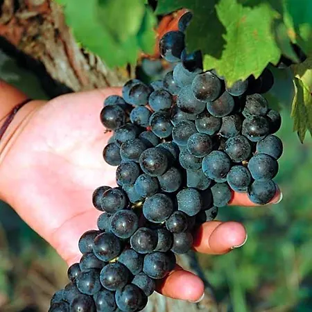 Domaine De La Queyssie 3*