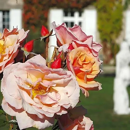 Domaine De La Queyssie Saussignac